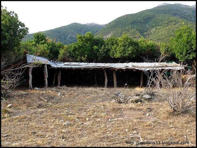 Πήγαν να κλέψουν πρόβατα από στάνη στην Σαμοθράκη αλλά…τους πήραν χαμπάρι