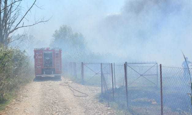 Καλαμάτα: Σε ύφεση η πυρκαγιά στον Ταΰγετο