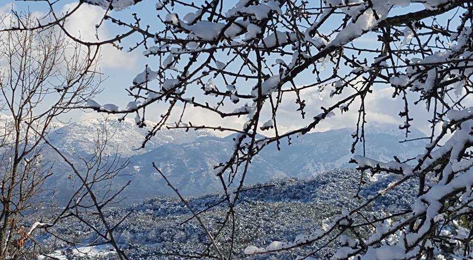 Στην «κατάψυξη» ολόκληρη η χώρα