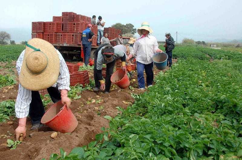 ΔΗΣΥ: Στερούν το δικαίωμα από τους αγρότες να ζήσουν στην περιφέρεια