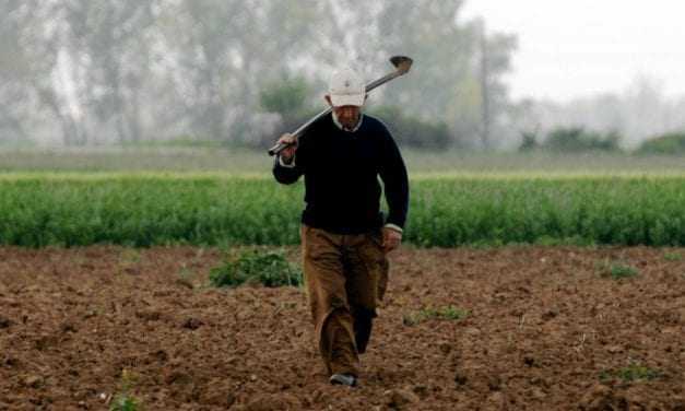 Ελαφρύνονται φορολογικά οι αγρότες; Κοντά είναι οι εκλογές