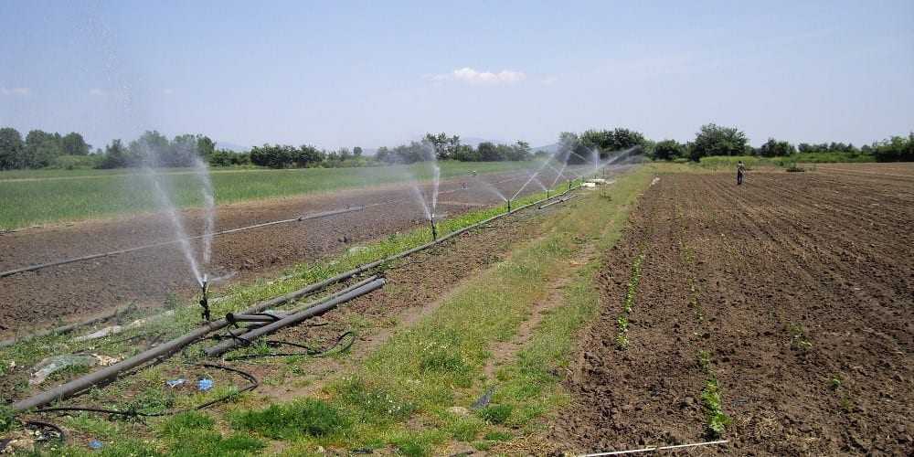 Μείωση της ρύπανσης νερού από γεωργική δραστηριότητα