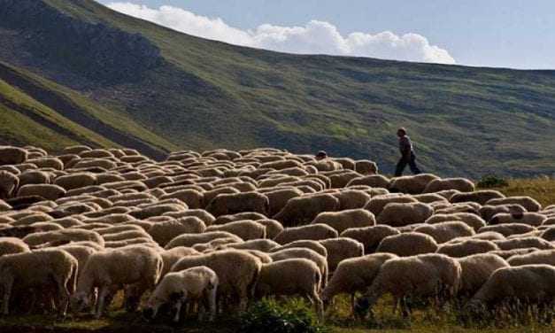 Οι κτηνοτρόφοι να στείλουν στοιχεία για την πληρωμή της εξισωτικής