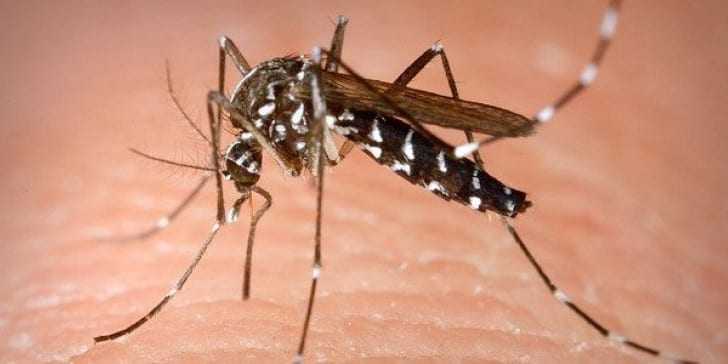 Συζήτηση στο Π.Σ. για την ανόρθωση της οικονομίας και την καταπολέμηση κουνουπιών ζητά η αντιπολίτευση