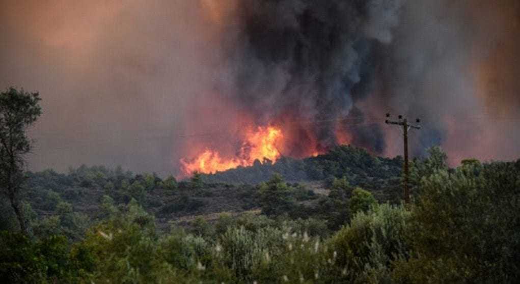 Φωτιά έκαψε 20 στρέμματα από καλαμιές στον Δήμο Τόπειρο