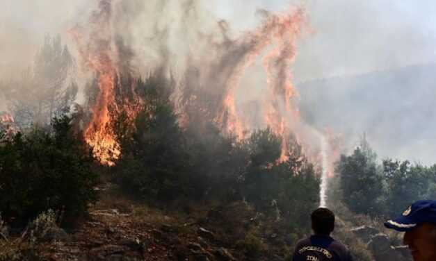 Έσβησε η φωτιά στην Θαλασσιά Ξάνθης