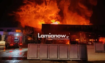 Κάηκαν εξ’ ολοκλήρου οι εγκαταστάσεις της εταιρείας “Γιαννίτσης” στην ΒΙΠΕ Λαμίας μετά από μεγάλη πυρκαγιά! (Φώτο, Βίντεο)
