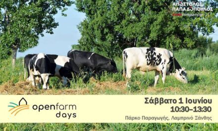 Open Farm Day 2024, Απόστολος Παπαδόπουλος Meat Company
