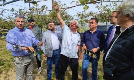 Εκτεταμένες καταστροφές από την χαλαζόπτωση στην Ξάνθη – Αυτοψία του ΕΛΓΑ