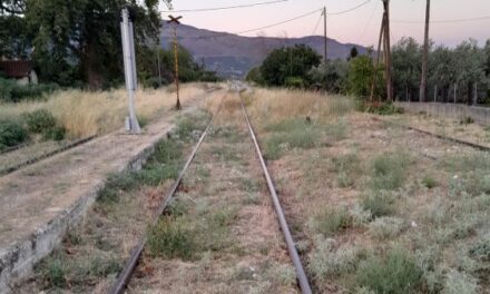 ΤΡΑΙΝΟΣΕ. ΜΗΝ ΤΟΝ ΕΙΔΑΤΕ ΤΟΝ ΠΑΝΑΗ