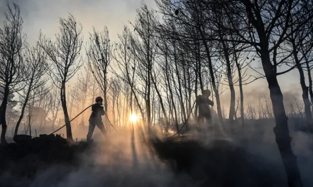 Φωτιές σε Ζάκυνθο και Δίστομο- χωρίς ενεργό μέτωπο σε Κερατέα και Σταμάτα Πυροσβεστικές δυνάμεις επιχειρούν για την αντιμετώπισή τους