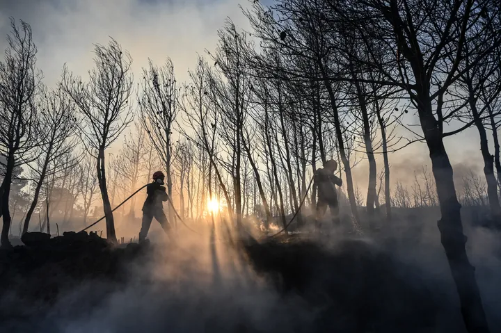 Φωτιές σε Ζάκυνθο και Δίστομο- χωρίς ενεργό μέτωπο σε Κερατέα και Σταμάτα Πυροσβεστικές δυνάμεις επιχειρούν για την αντιμετώπισή τους