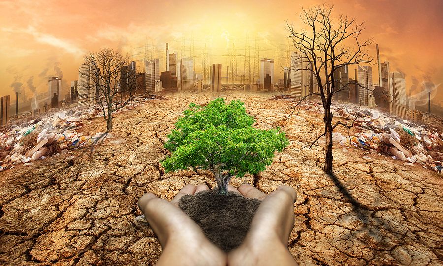 Κλιματικής κρίσης συνέχεια. Τι λέει το ΓΕΩΤΕΕ ΘΡΑΚΗΣ για τις καλλιέργειες