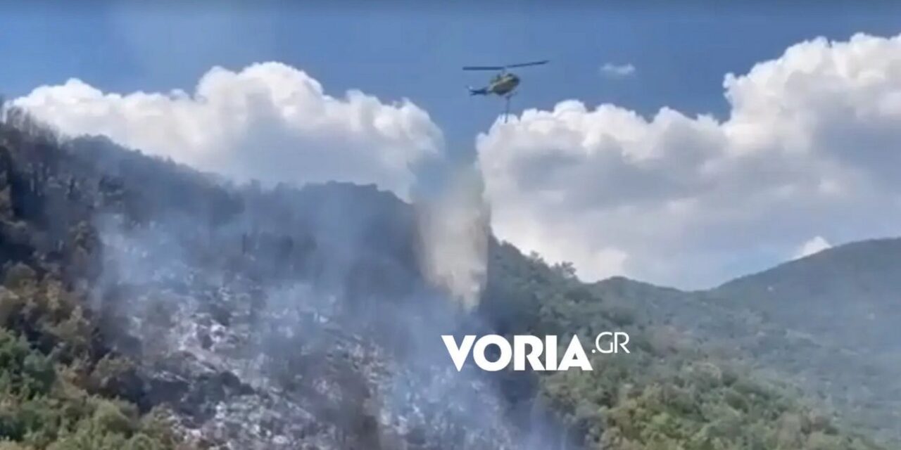 Καβάλα: Φωτιά σε δασική έκταση στο δήμο Παγγαίου