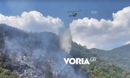 Καβάλα: Φωτιά σε δασική έκταση στο δήμο Παγγαίου