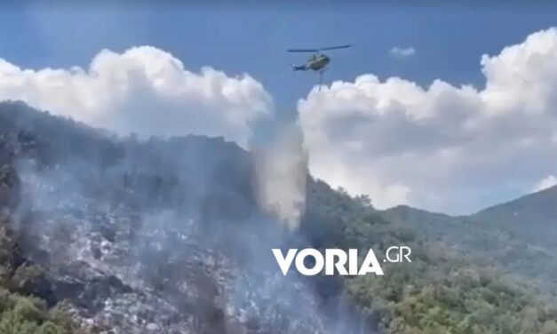 Καβάλα: Φωτιά σε δασική έκταση στο δήμο Παγγαίου