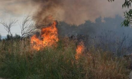 Ξάνθη: Δύο πύρινα μέτωπα σε Λευκόπετρα και παραλιακή ζώνη