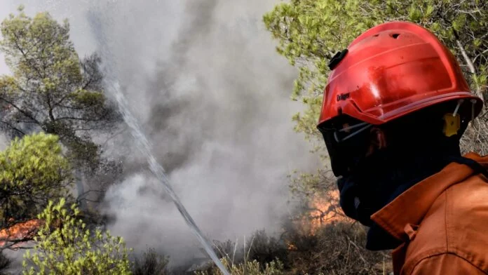 Ροδόπη: Πυρκαγιά στη Σαλμώνη – Μεγάλη κινητοποίηση της Πυροσβεστικής