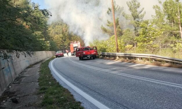 Συναγερμός  – Δασική πυρκαγιά βρίσκεται σε εξέλιξη κοντά στο περιαστικό άλσος