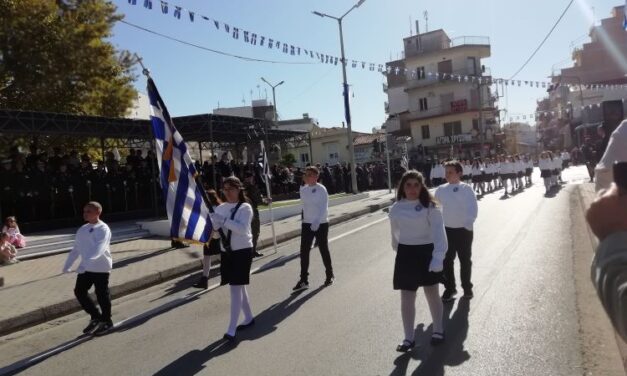 ΕΚΦΩΝΗΤΡΙΑ ΠΑΡΕΛΑΣΗΣ: Δεν τόχεις που δεν τόχεις, ρίξε μια ματιά στο κείμενο πριν το εκφωνήσεις