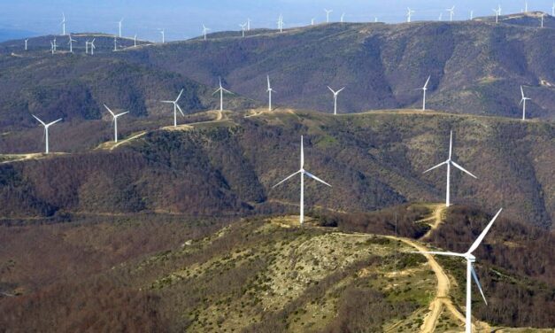 Ακυρώνεται η αδειοδότηση τριών Αιολικών Σταθμών στη Θράκη λόγω ανεπαρκούς εκτίμησης επιπτώσεων μετά την πυρκαγιά