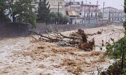 Πώς μία “bora” γίνεται εργαλείο εκφοβισμού των πολιτών